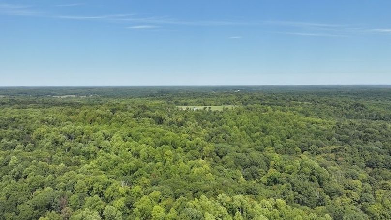 dji_fly_20240904_133044_0374_1725471194500_photo
