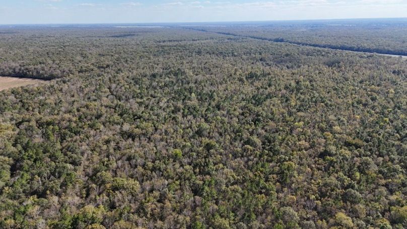 dji_fly_20251106_035408_0089_1762382153471_photo