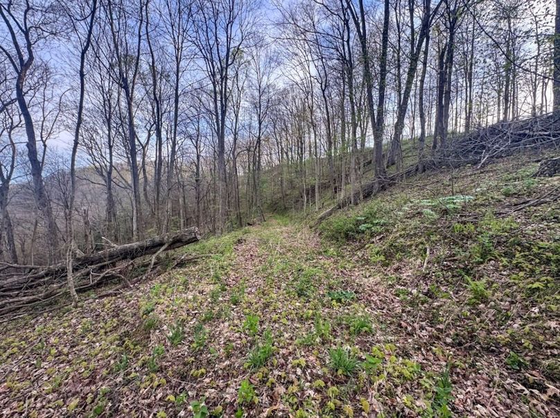 Screenshot 2026-04-21 at 11.36.18 AM