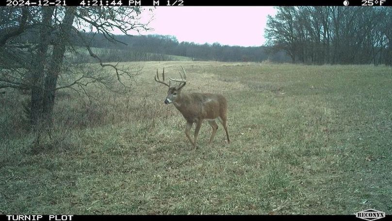 Copy of 1-5505585530