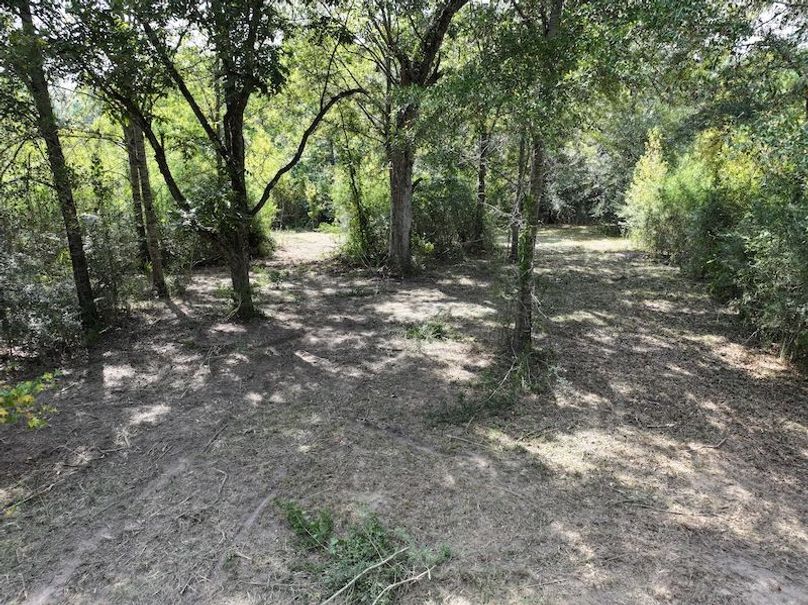 dji_fly_20250915_151034_0464_1758029014661_photo