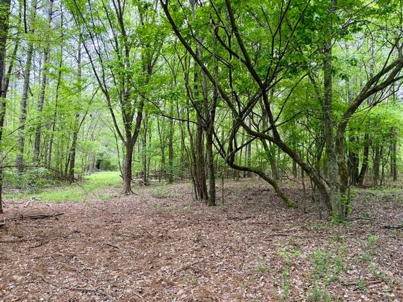 991440B9-4384-4232-AC1F-F53FF472C188_1_105_c