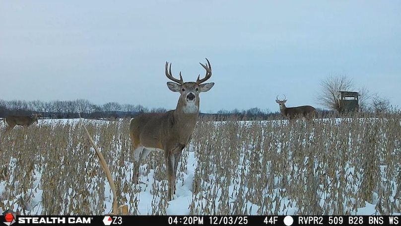 2025120316200301004758_ColorizationType.none