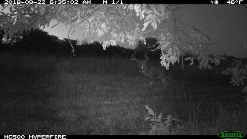 2018-09-22 06-35-02 M 1_1