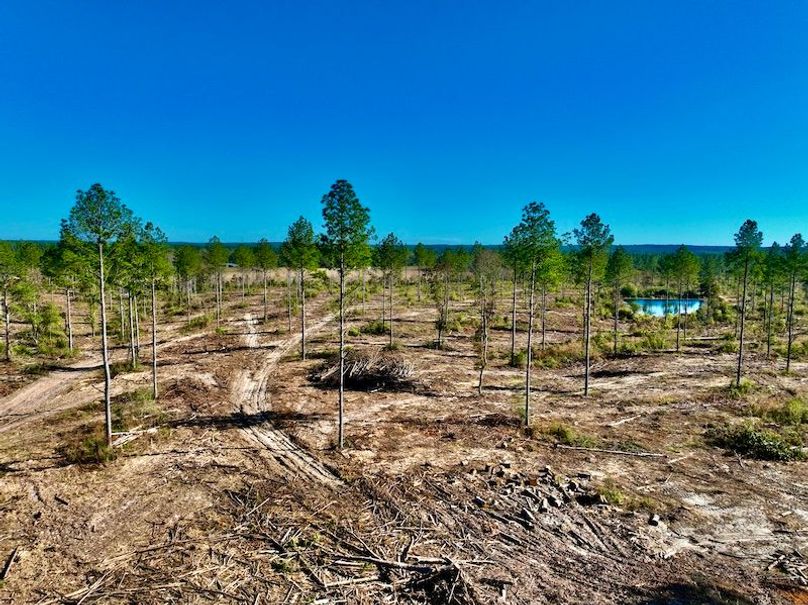 76DEEE46-4624-4D57-9688-0BB67DDEB8D2_1_201_a