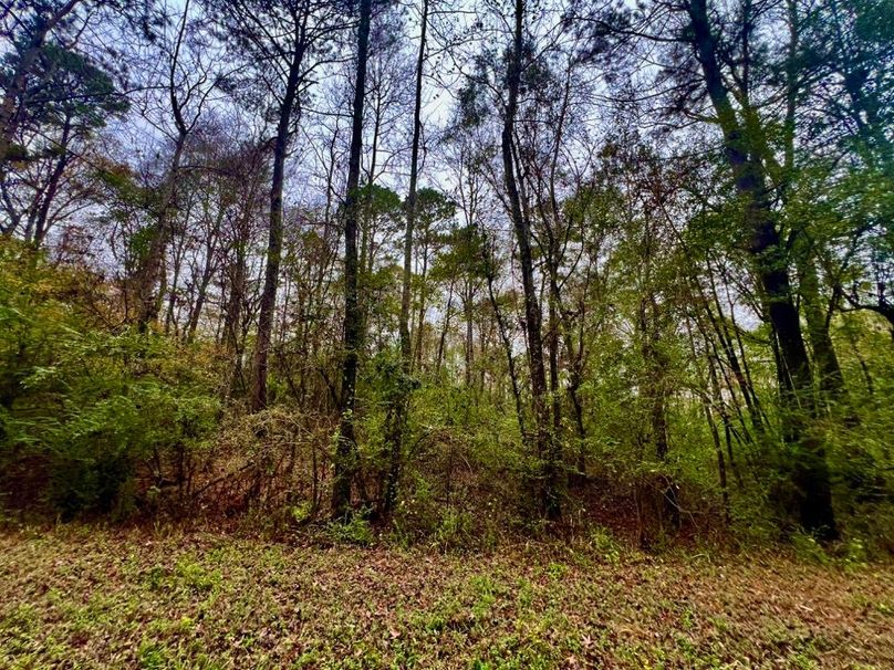 F186CA6A-58D7-400B-B2D5-D15BCE135DDA_1_201_a