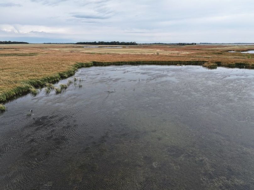 DJI_20240916121757_0266_D