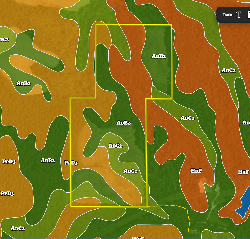 Screenshot 2026-02-11 at 12.04.44 PM