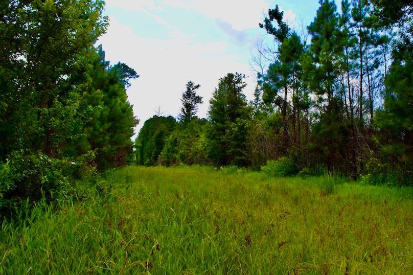 2578842D-58C9-4EB3-85B5-BDF439FE837C_1_201_a