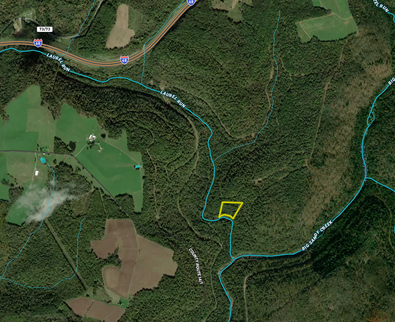 Screen Shot 2023-12-04 at 12.58.56 PM