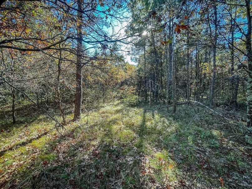 Juneau 27 Wiesner -087