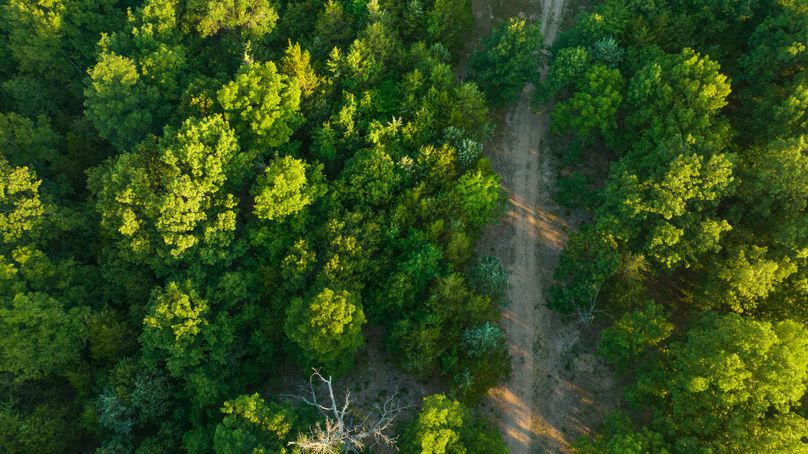 Webster MO 106 Featured_Pro Photo-10