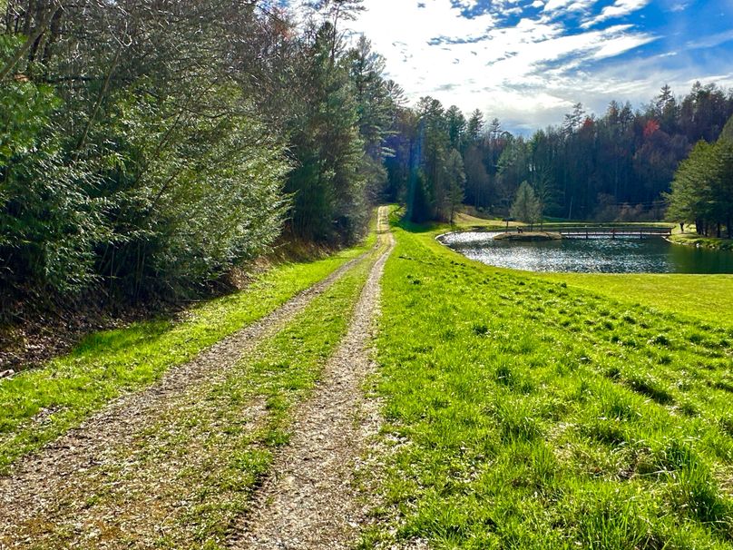 IMG_012 View of Clydesdale Rd