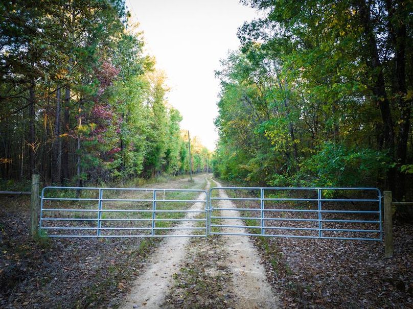 Clay 302.7 Henderson-45