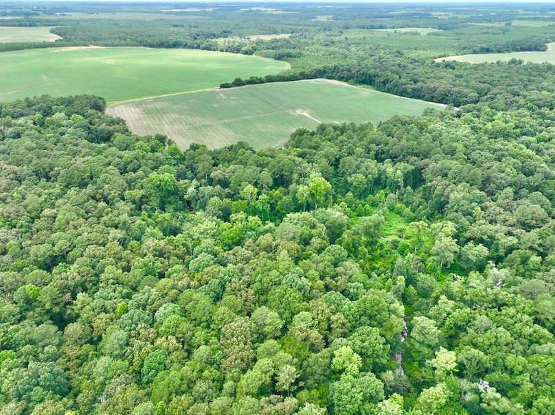 dji_fly_20240703_135200_499_1720038355607_photo