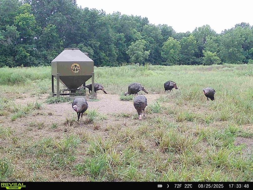 864049056505995-100-2-08252025190552-HD-SYFW2272