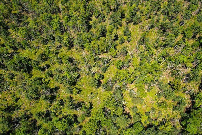 dji_fly_20250512_130642_981_1747069836616_photo