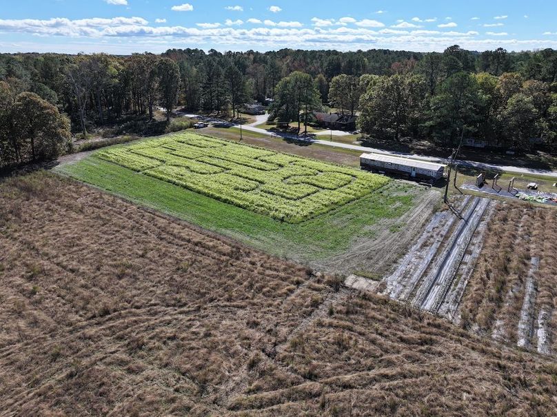 DJI_20251018124945_0177_D