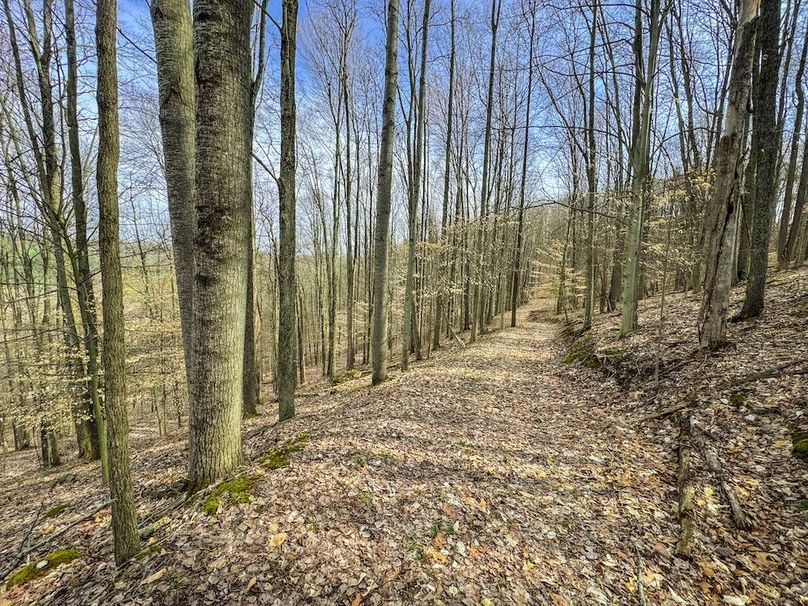 Ritchie, WV 206.08 AC Curriden-43