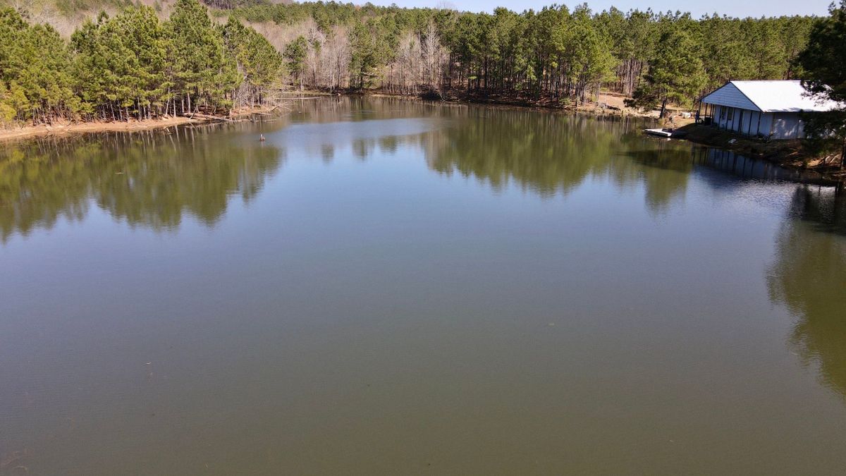 Large Hunting Recreational Property Bordering USFS/Wilderness