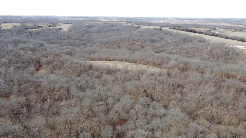 DJI_0643