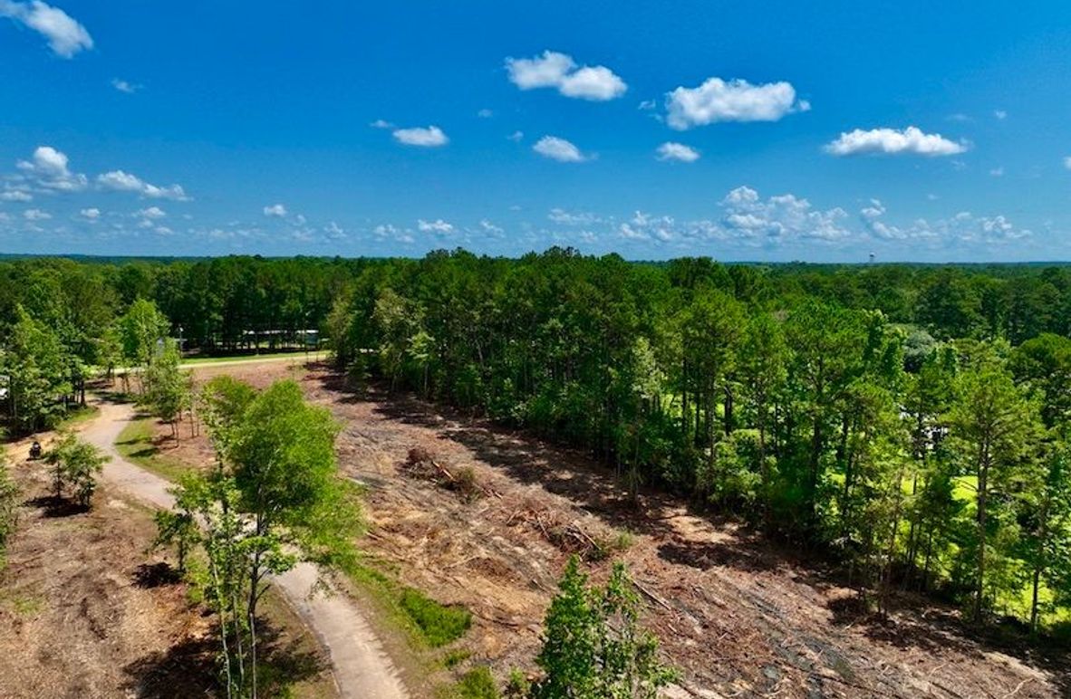 3D2B87E5-3876-4416-8478-8E37FFAD4B48_1_105_c