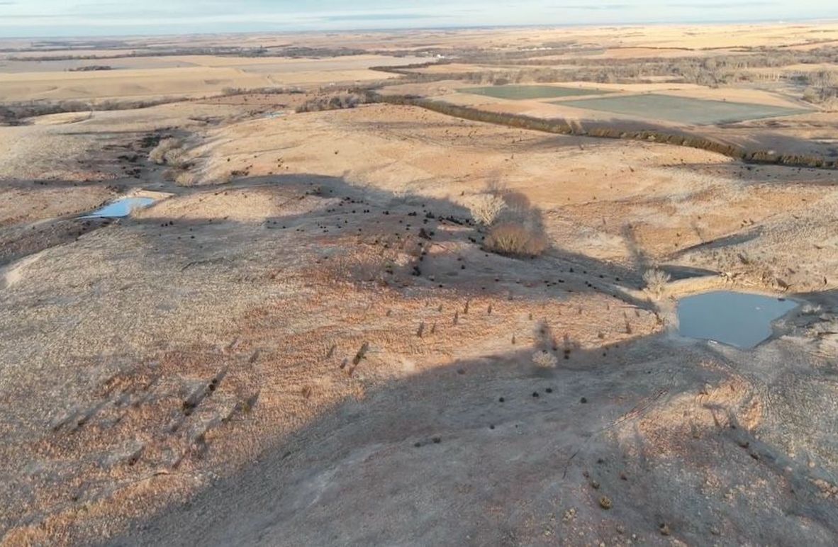 Screen Shot 2024-12-19 at 2.29.41 PM