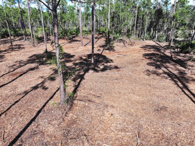 dji_fly_20231118_141030_0288_1700356771845_photo