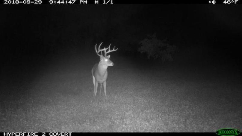 2018-09-29 21-44-47 M 1_1