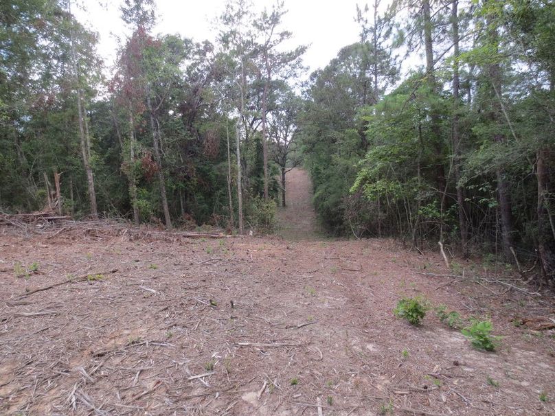 91C10C80-505A-4A20-B324-5333E3D840AE_1_105_c