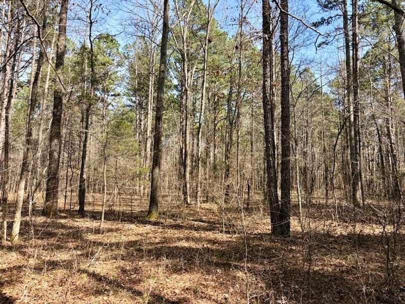 6EBBA86C-0C1C-49E4-AB78-7D3F61ABA368_1_105_c