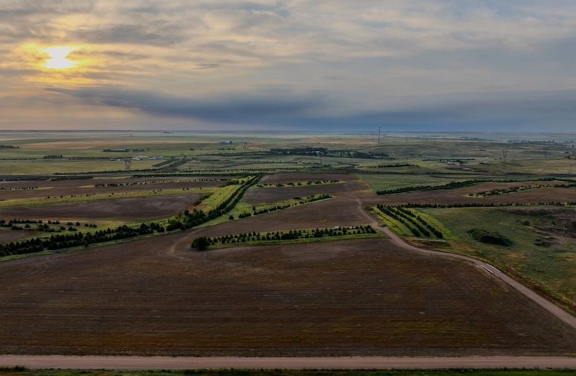 DJI_20250712061643_0189_D-HDR