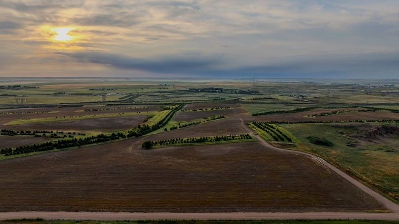 DJI_20250712061643_0189_D-HDR