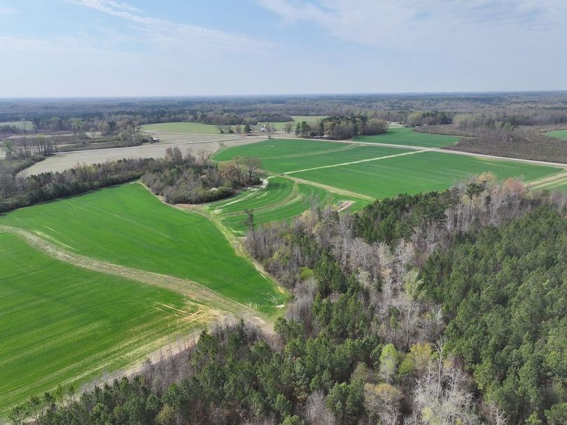 Copy of DJI_20260303064047_0565_D