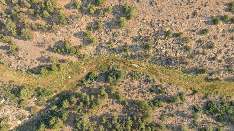 DJI_0613_1