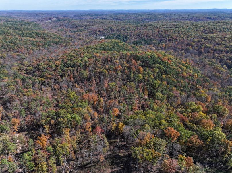 DJI_20251104130058_0831_D