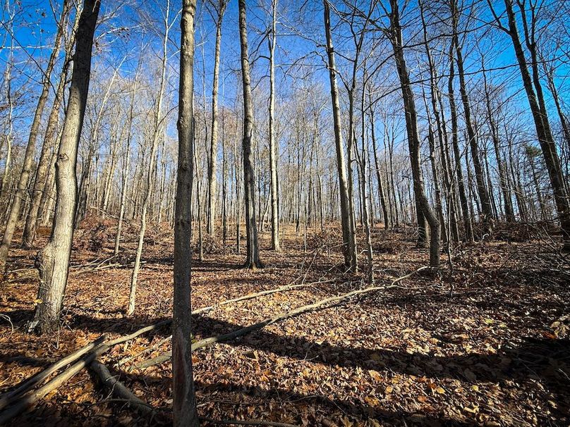 Chemung_31.75_Seymour_South_Photos_10