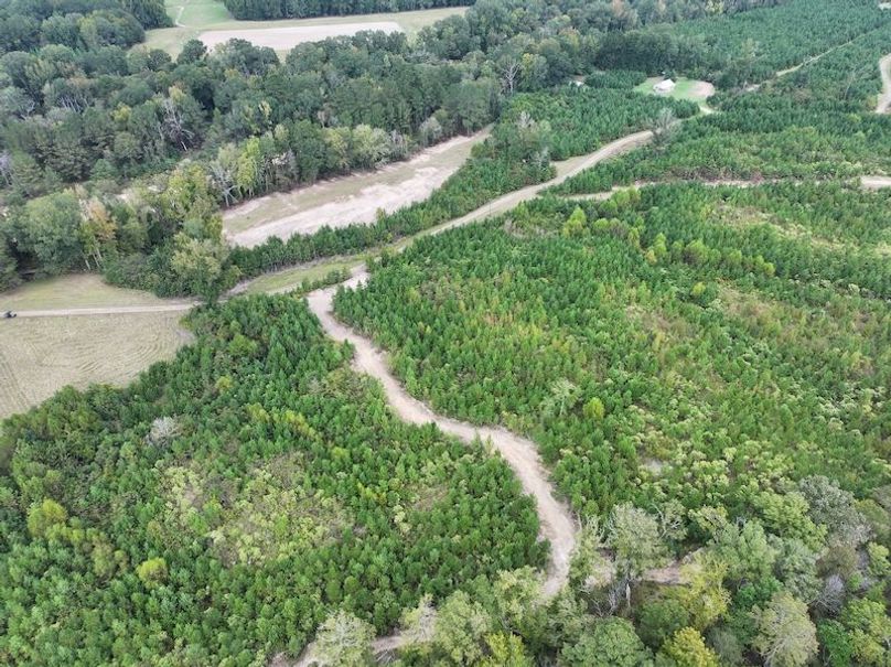 dji_fly_20251001_133106_0590_1759492699021_photo