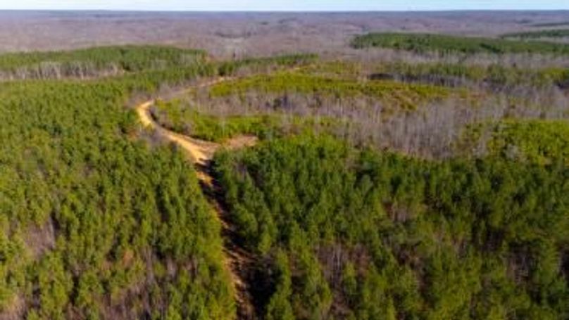 MCKINNON TRACT 19-32