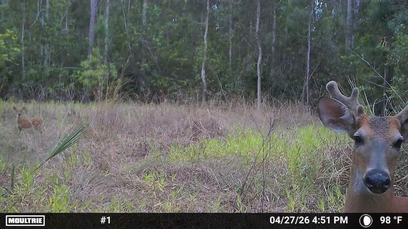 Temp_1250326-20260427205252-100MFCAM_MFDC2216