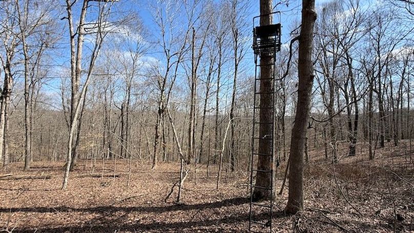 Butler 118 Capella13