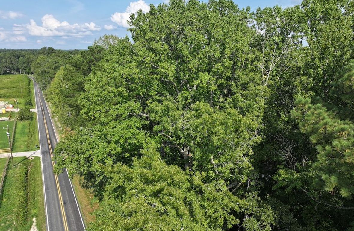 DJI_20250818160059_0104_D