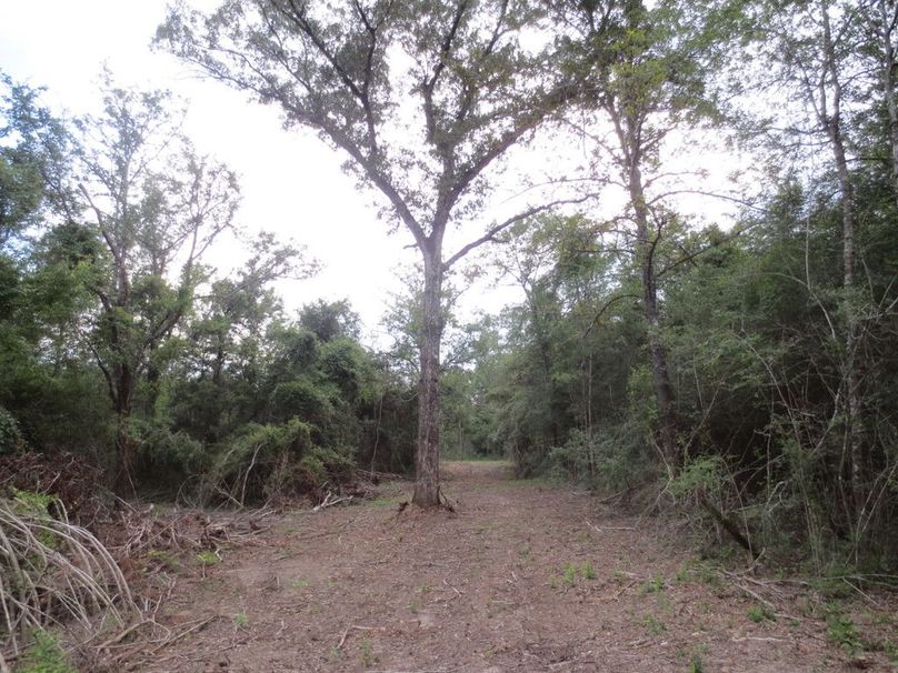 EABC5907-2722-4ED1-9C3A-18E7AD5B94BF_1_105_c