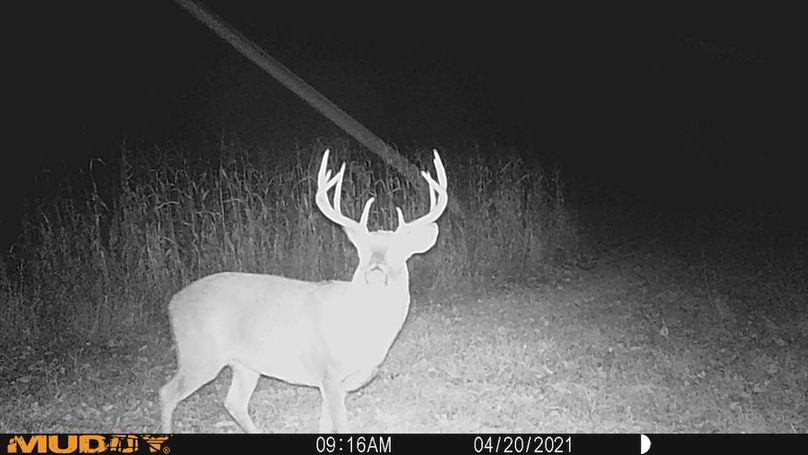Sauk 174 Trailcam - 57