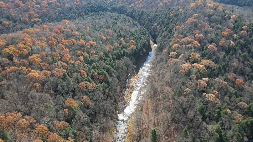 dji_fly_20251105_120336_887_1762380959967_photo