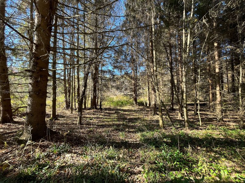 Schuyler_25.155_Ennis_Photos_2