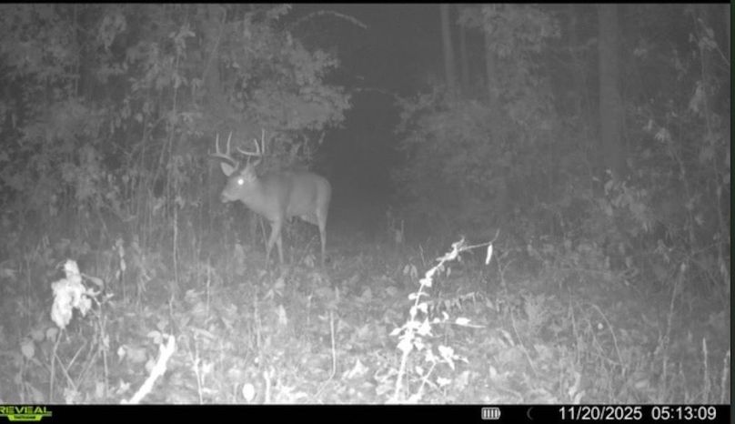 Screenshot 2025-12-21 at 7.25.26 PM