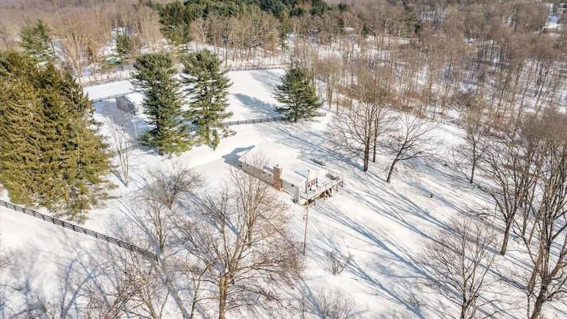 17-z 18408 Brushy012