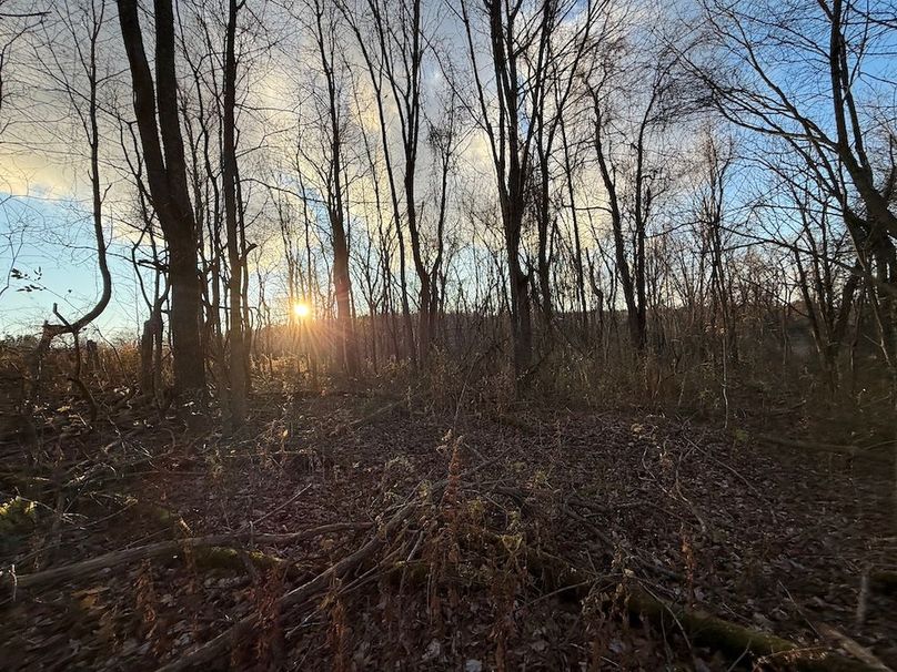 Wayne_29.09_BD_LandParcel_19