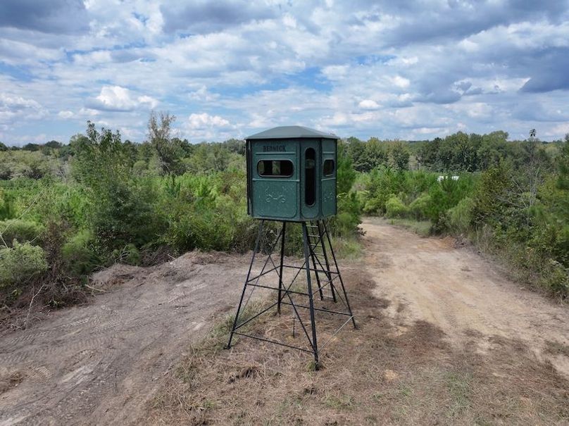 dji_fly_20251001_133948_0600_1759492695793_photo